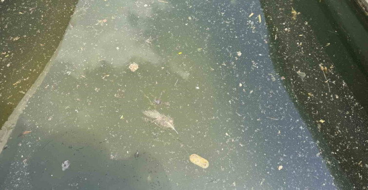 Adana'da Seyhan Nehri çevresindeki kirliliğe vatandaşlardan tepki