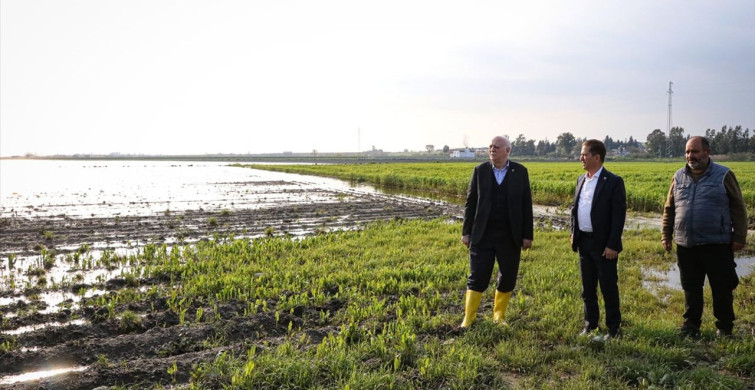 Adana'da Yağışların Etkileri: TZOB Genel Başkanı Bayraktar İncelemelerde Bulundu