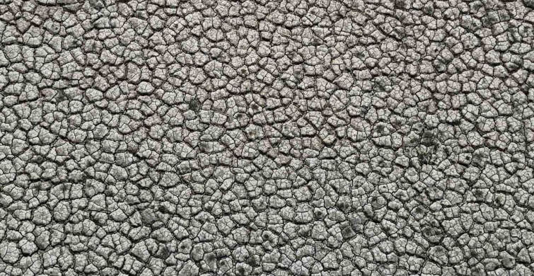 Adana'daki Barajlar Yeniden Dolduruldu