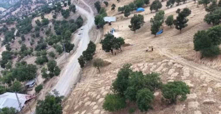 Adana'nın dağ köylerinde geleneksel hasat geleneği sürüyor