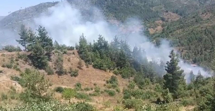 Adana'nın Feke ilçesinde orman yangınına müdahale ediliyor