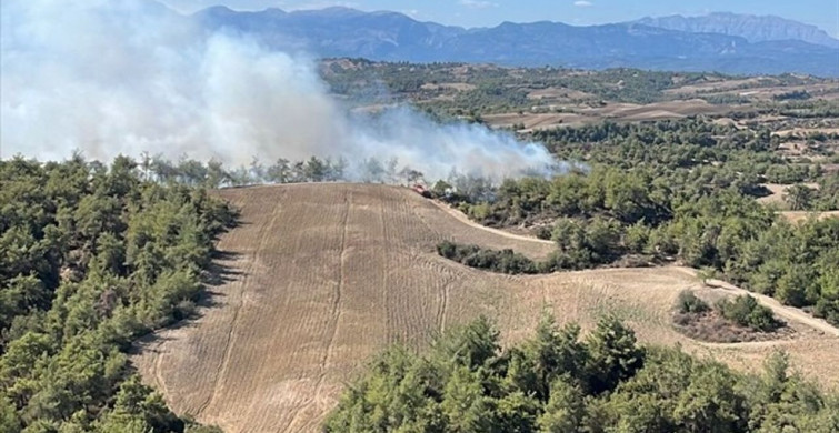 Adana'nın Sarıçam İlçesinde Orman Yangını Kontrol Altına Alındı