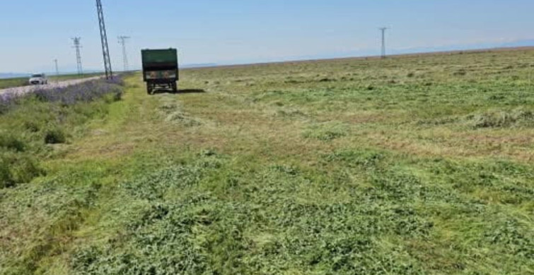 Adilcevaz'da Ot Biçme Sezonu Başladı