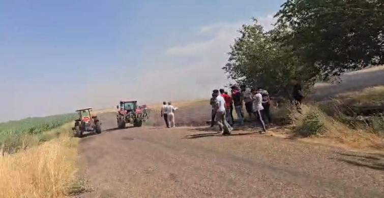 Adıyaman'da anız yangını korkuttu