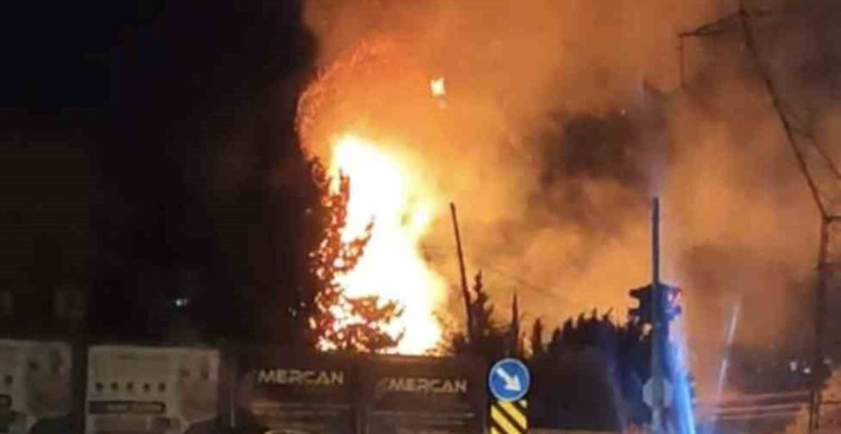 Adıyaman'da çıkan yangında kaplumbağa kurtarıldı