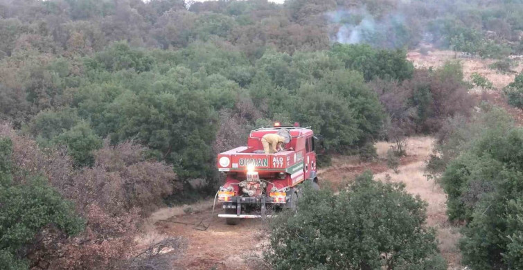 Adıyaman'da orman yangını kontrol altına alındı