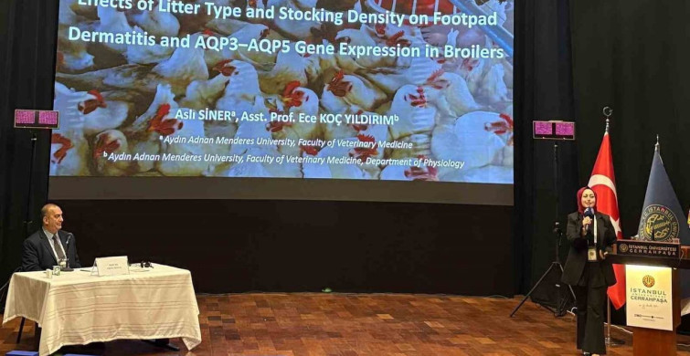 Adnan Menderes Üniversitesi Öğrencisi Kongrede Birinci Oldu