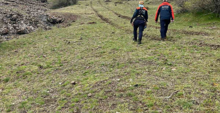AFAD Ekipleri Sarp Kayalıklarda Mahsur Kalan İnekleri Kurtardı