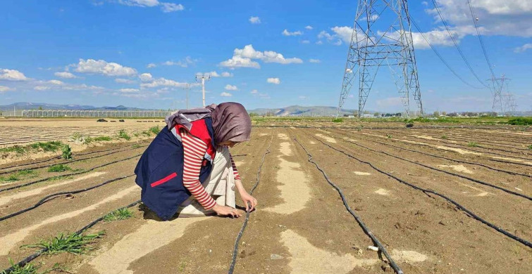 Afyonkarahisar Tarım Arazilerinde Kontroller Devam Ediyor