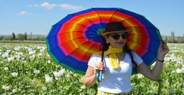 Afyonkarahisar'da Fotoğraf Tutkunları Haşhaş Foto Safari'de