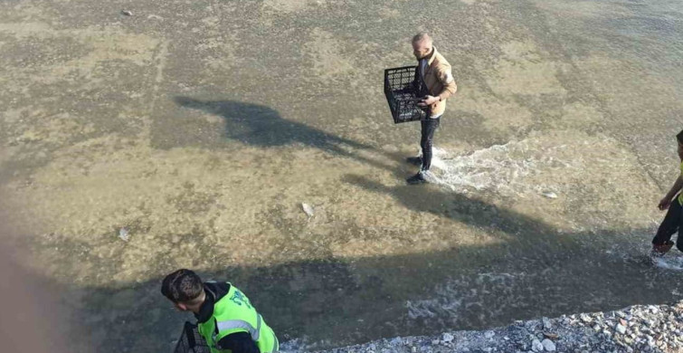 Afyonkarahisar'da Ilginç Balık Yakalama Yarışı