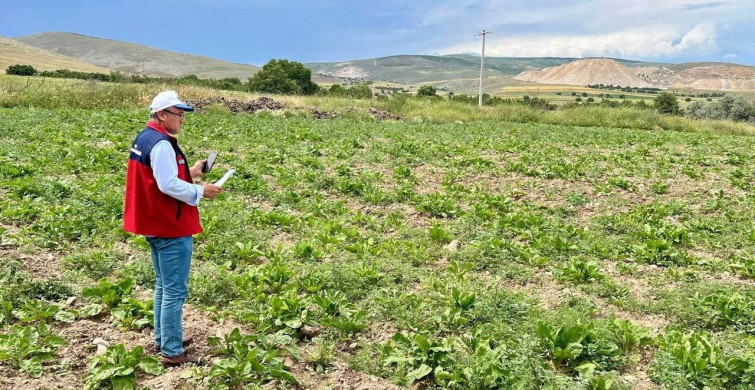 Afyonkarahisar’da planlı tarımsal üretim için saha çalışmaları sürüyor