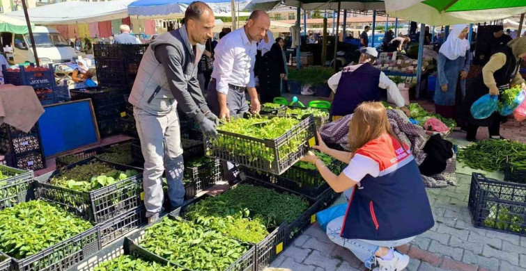 Afyonkarahisar'da semt pazarlarında tohum ve fideler denetlendi