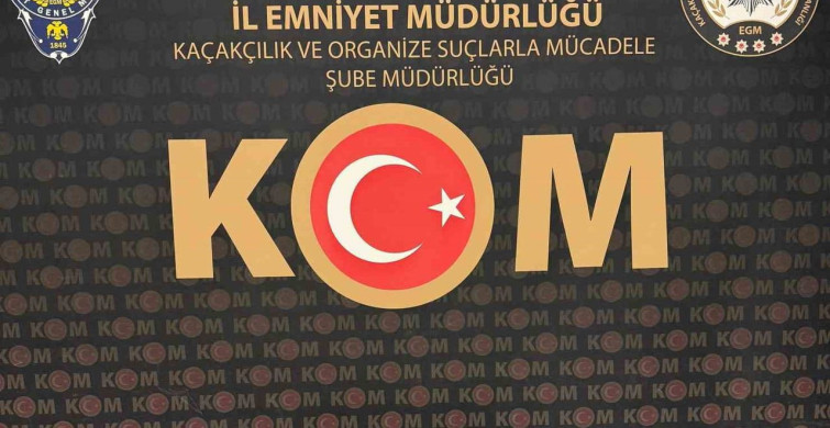 Afyonkarahisar'da Tarihi Eser Operasyonu: Bir Gözaltı