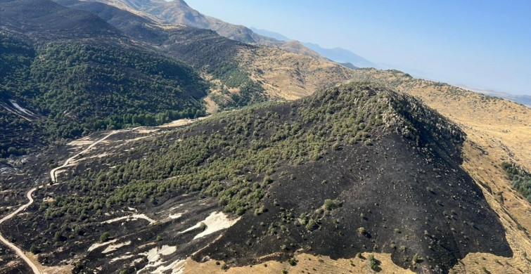 Afyonkarahisar'da Yangın Kontrol Altına Alındı