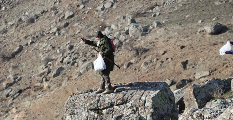 Ağaç Dede'nin Yeşil Mirası: 72 Yaşında Ağaçlandırma Faaliyetleri