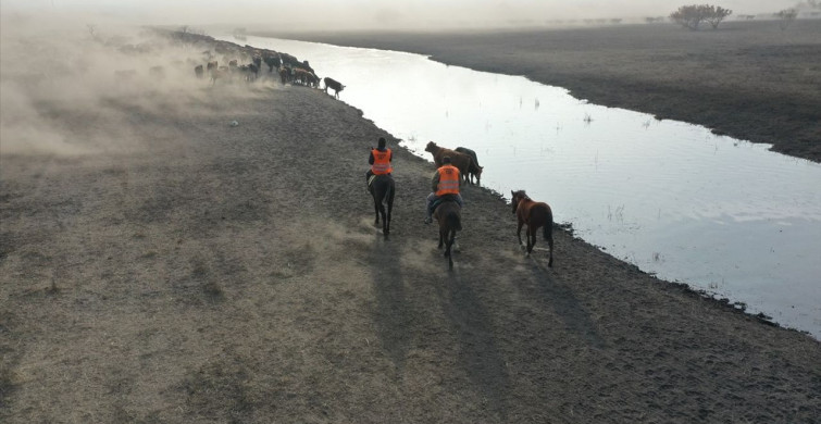 Ağrı Dağı'nda Atlı Çobanlık Geleneği