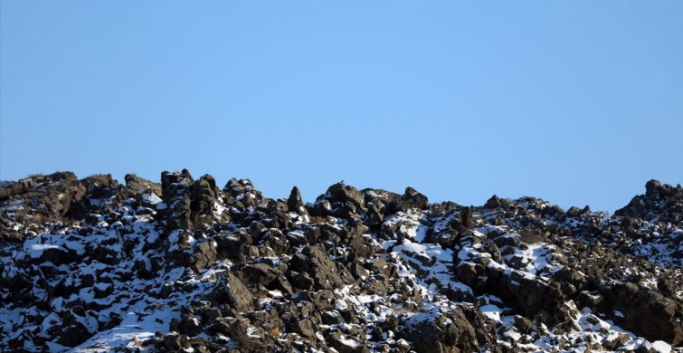 Ağrı Dağı'nda Kar Manzarası