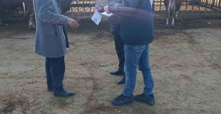 Ağrı'da Kurban Bayramı Öncesinde Sıkı Güvenlik Denetimleri