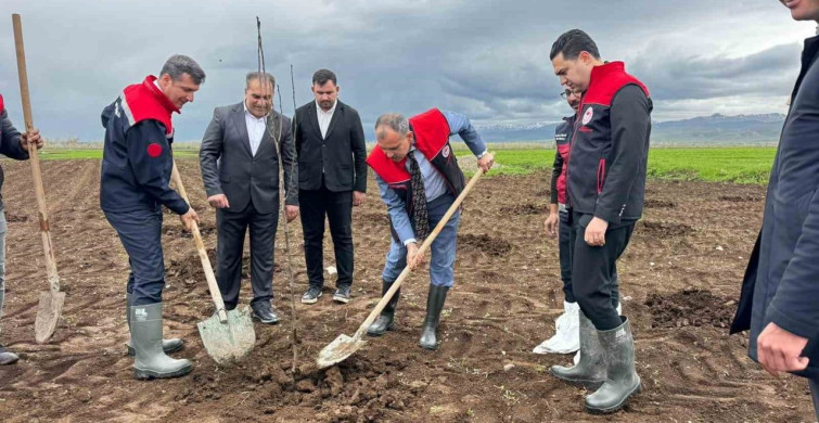 Ağrı'da Meyve Fidanı Dağıtımı