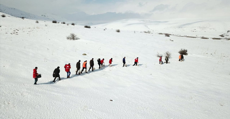 Ağrı'da Yaban Hayvanları İçin Yemleme Faaliyeti