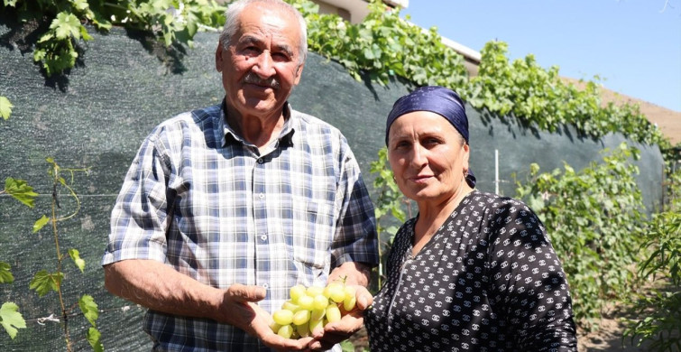 Ahıska Türkü Çiftin Üzüm Serüveni: Erzincan'da 70 Çeşit Yetiştiriyorlar