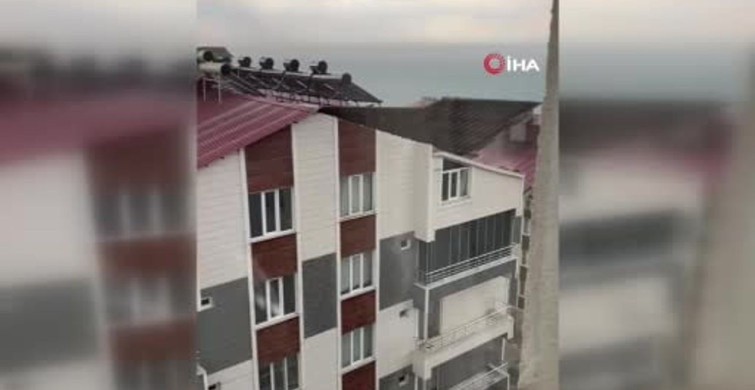 Ahlat'ta fırtına günlük yaşamı olumsuz etkiledi