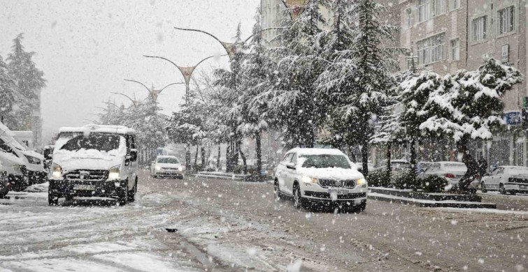 Ahlat'ta Nisan Ayında Kar Yağışı
