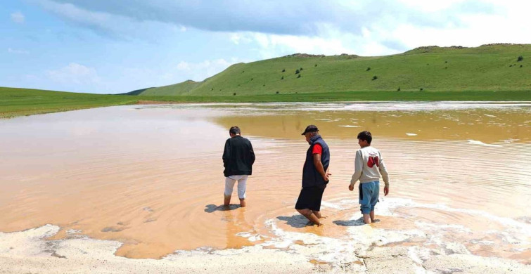 Ahlat'ta sel tarım arazilerine zarar verdi
