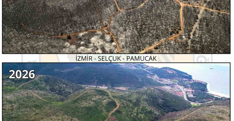AK Parti’li Saygılı: Devletimiz, yanan her karış toprağı yeniden fidanla buluşturdu