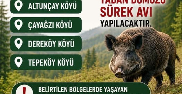 Akçakoca'da Yaban Domuz Sürek Avı Düzenlenecek