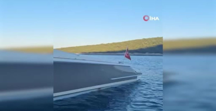 Akdeniz Foku Motoryatta Dinleniyor