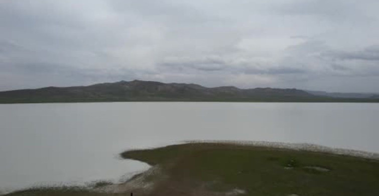 Akgöl: Van'ın Kuş Cenneti Yeniden Hayat Buldu