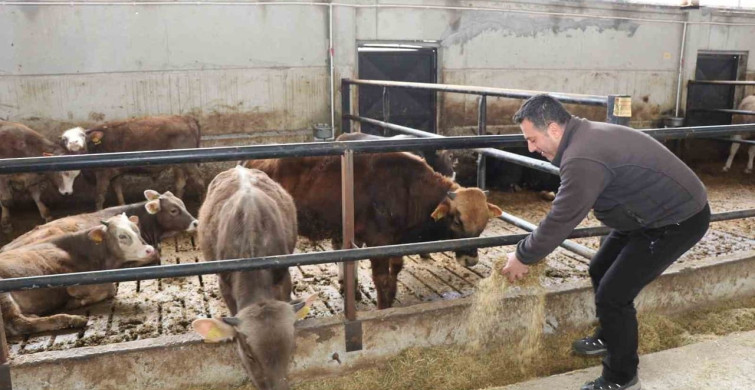 Akıllı Ahır Projesi ile Oltu'da Verimlilik Artışı