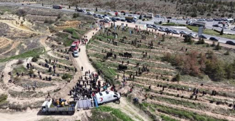 Aksaray'da 2 Bin 500 Fidan ile Hatıra Ormanı Oluşturuldu