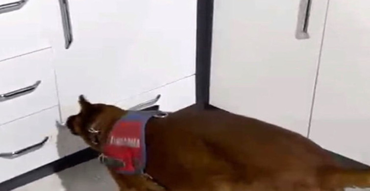 Aksaray'da Uyuşturucu Operasyonu: 2 Kişi Tutuklandı