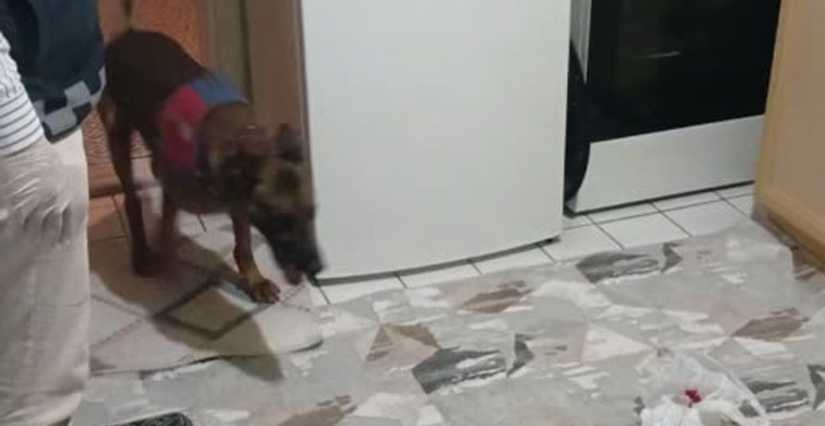 Aksaray'da Uyuşturucu Operasyonu: Narkotik Köpeği Yalman'ın Başarısı