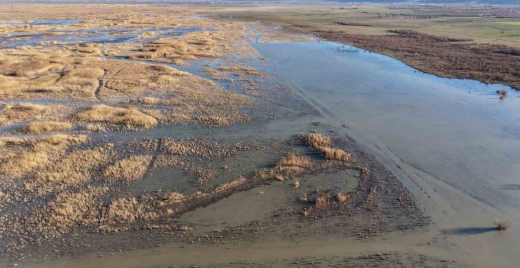 Akşehir Gölü'nde Su Seviyesi Yükseliyor