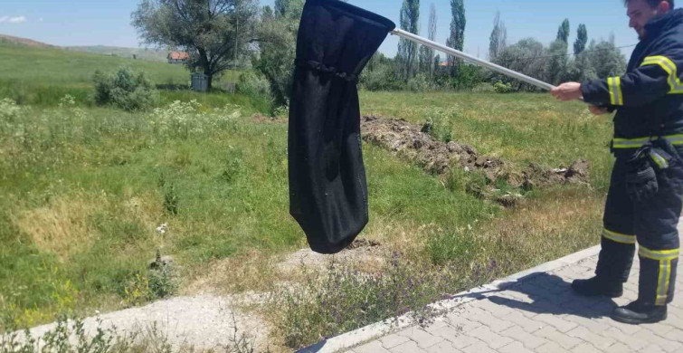 Alacada eve giren yılan itfaiye tarafından yakalandı