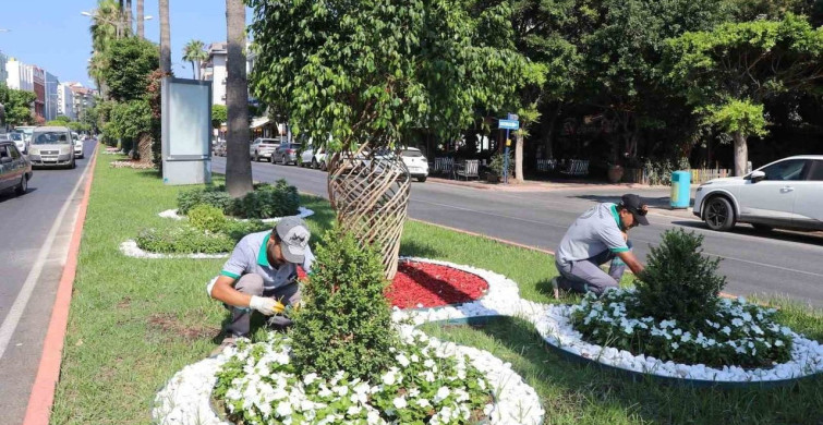 Alanya Belediyesi'nden yeşil alanlarda yoğun mesai