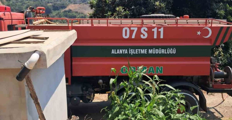 Alanya'da avokado bahçelerinin bulunduğu zirai alanda yangın