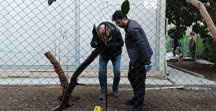 Alanya'da Bıçaklı Kavga: Bir Yaralı