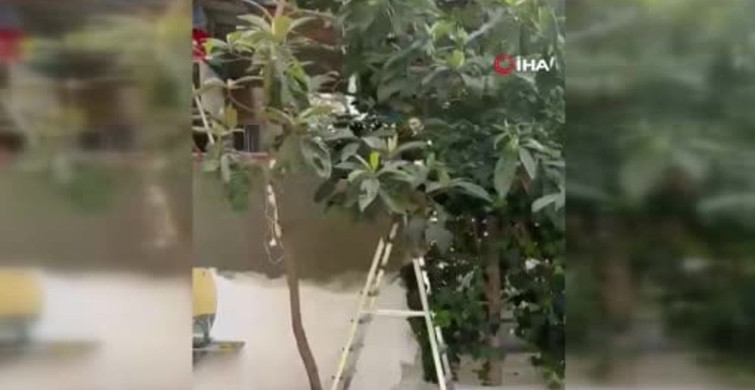 Alanya'da devlete ve polise hakaret eden yabancı uyruklu şüpheli adliyeye sevk edildi