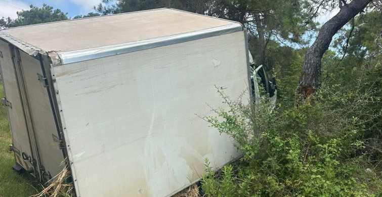 Alanya'da kamyonet ağaca çarptı: 1 ölü, 1 ağır yaralı