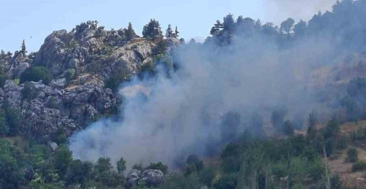 Alanya'da zirai alanda çıkan yangın kontrol altına alındı