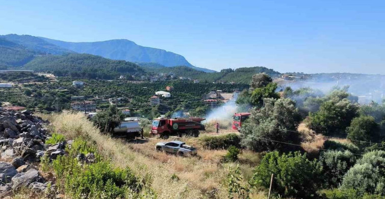 Alanya'da zirai alanda çıkan yangında 1 dönüm zarar gördü
