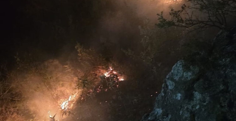 Alanya'daki Orman Yangını Kontrol Altına Alındı