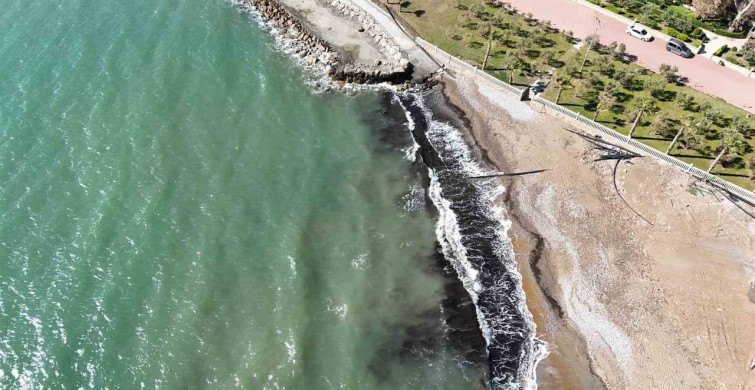 Alanya'daki Siyah Tabaka: Deniz Çayırları Sorun Değil