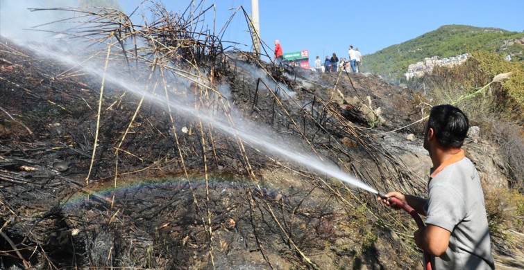 Alanya'daki Yangın Kontrol Altına Alındı