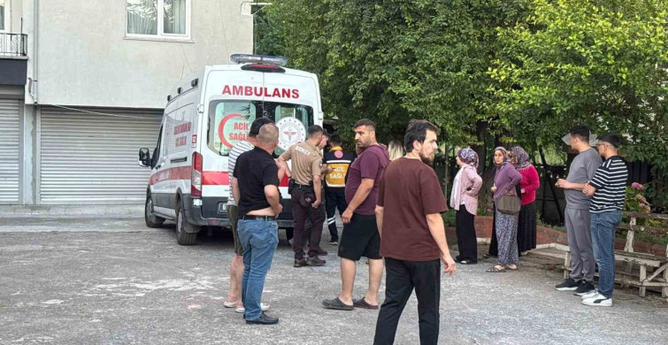 Alaplı ilçesinde dut toplarken düştü, yaralandı
